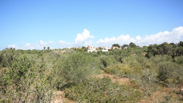 Gran finca rústica, muy bien situada en Cala Santanyí, Mallorca. PROYECTO BÁSICO INCLUIDO