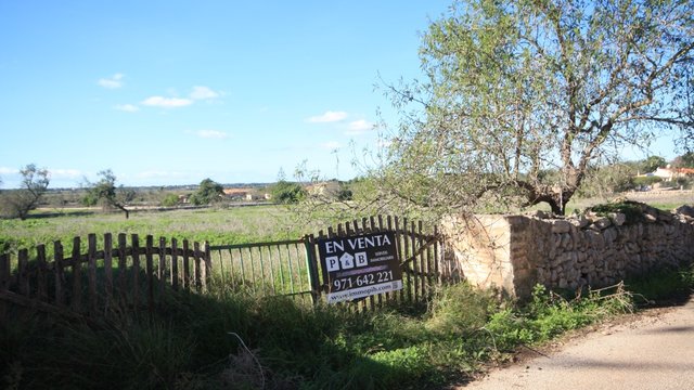 Rustic plot, very close to the town of Santanyí, Mallorca